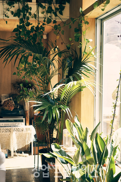 VER’S GARDEN & HOUSE ⓒ 사진 이현석 팀장