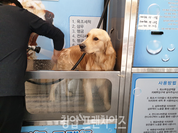 마이리틀프렌드 ⓒ 사진 업체 제공