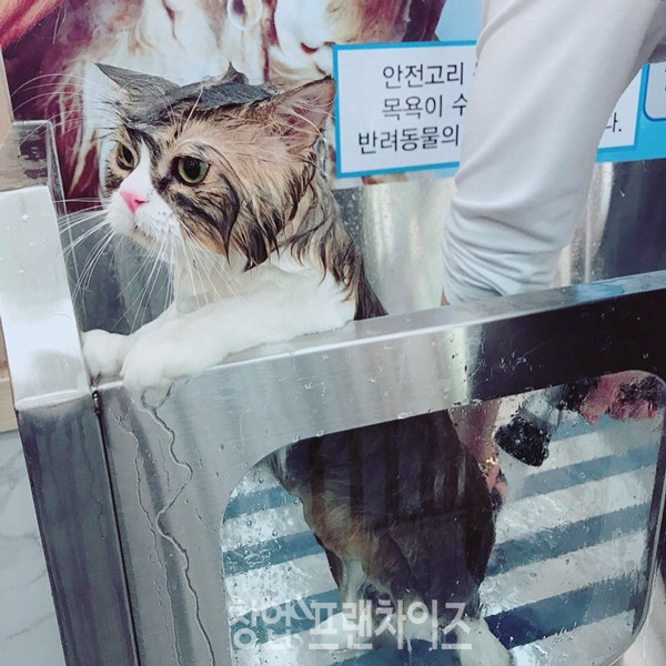 마이리틀프렌드 ⓒ 사진 업체 제공