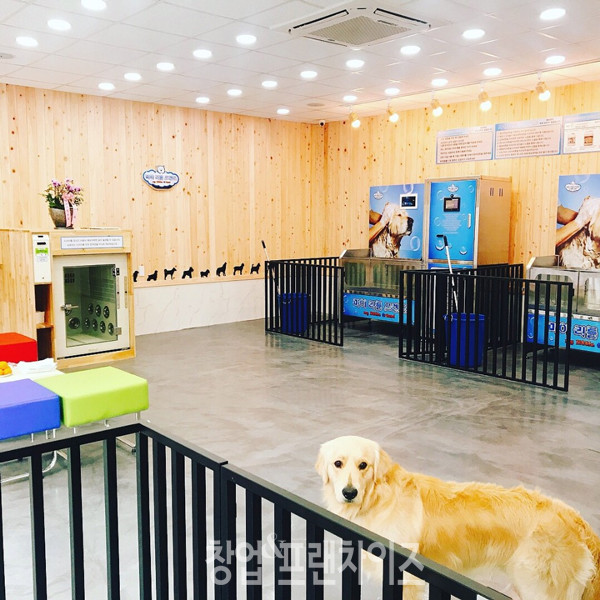 마이리틀프렌드 ⓒ 사진 업체 제공