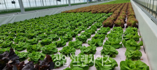 첨단돌솥감자탕 ⓒ 사진 업체제공