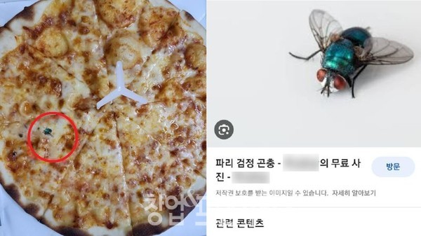 온라인 커뮤니티 캡처